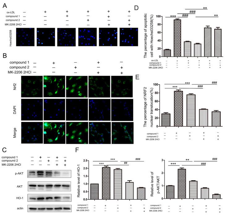 https://cdn.ncbi.nlm.nih.gov/pmc/blobs/b193/8707590/afa9632f065c/marinedrugs-19-00712-g005.jpg