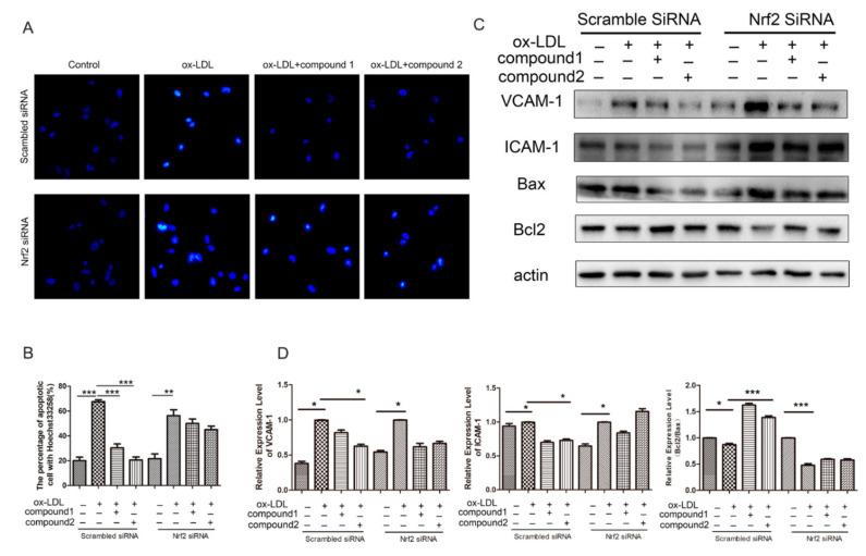 https://cdn.ncbi.nlm.nih.gov/pmc/blobs/b193/8707590/c597a2a95c7a/marinedrugs-19-00712-g006.jpg