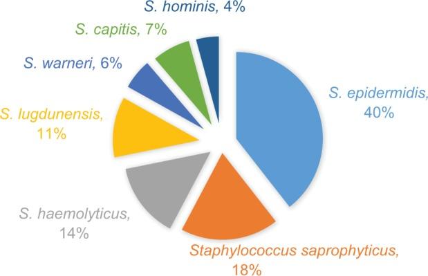 https://cdn.ncbi.nlm.nih.gov/pmc/blobs/b196/5926075/4113bd6b8328/idr-11-607Fig1.jpg