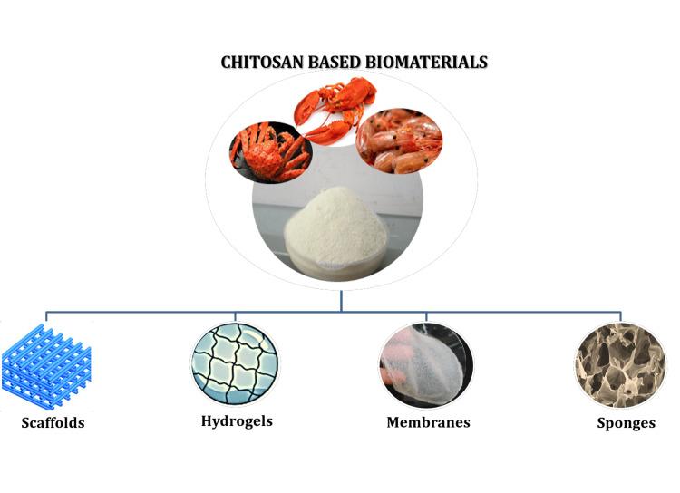 https://cdn.ncbi.nlm.nih.gov/pmc/blobs/b197/10983058/29707f211250/cureus-0016-00000055193-i03.jpg