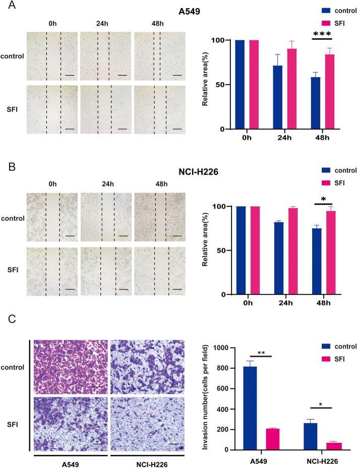 https://cdn.ncbi.nlm.nih.gov/pmc/blobs/b197/11136924/a5b23037eead/12672_2024_1029_Fig4_HTML.jpg