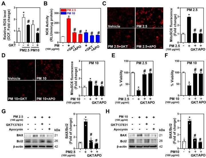 https://cdn.ncbi.nlm.nih.gov/pmc/blobs/b197/11172693/a6d2990204c3/ijms-25-06116-g004.jpg