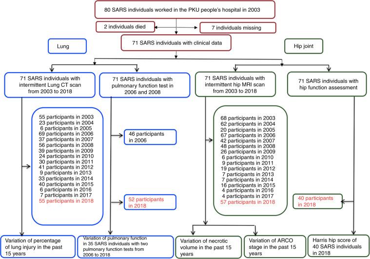 https://cdn.ncbi.nlm.nih.gov/pmc/blobs/b19a/7018717/bbb9963394d7/41413_2020_84_Fig1_HTML.jpg