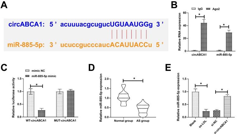 https://cdn.ncbi.nlm.nih.gov/pmc/blobs/b19d/10998038/139603b04bbd/gr3.jpg