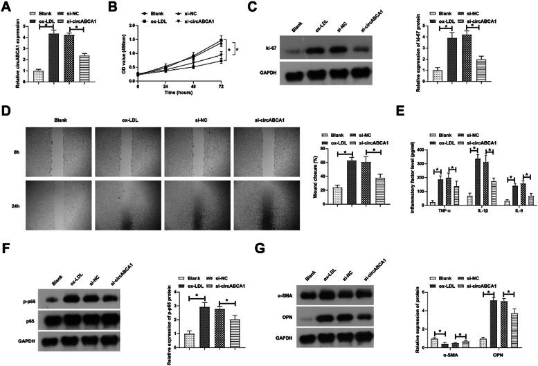 https://cdn.ncbi.nlm.nih.gov/pmc/blobs/b19d/10998038/4ca46f998810/gr2.jpg