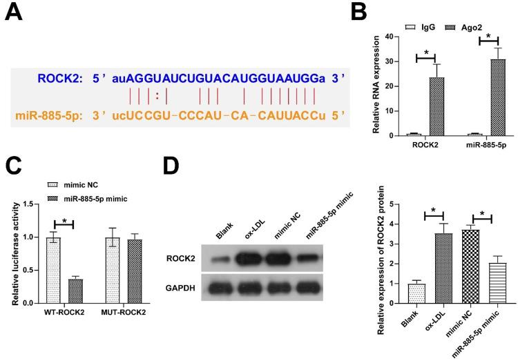 https://cdn.ncbi.nlm.nih.gov/pmc/blobs/b19d/10998038/6f0bc621ab1a/gr5.jpg