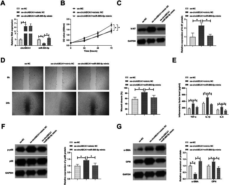 https://cdn.ncbi.nlm.nih.gov/pmc/blobs/b19d/10998038/d7f38c8bd13e/gr4.jpg