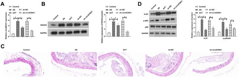 https://cdn.ncbi.nlm.nih.gov/pmc/blobs/b19d/10998038/f0b87d4df068/gr7.jpg