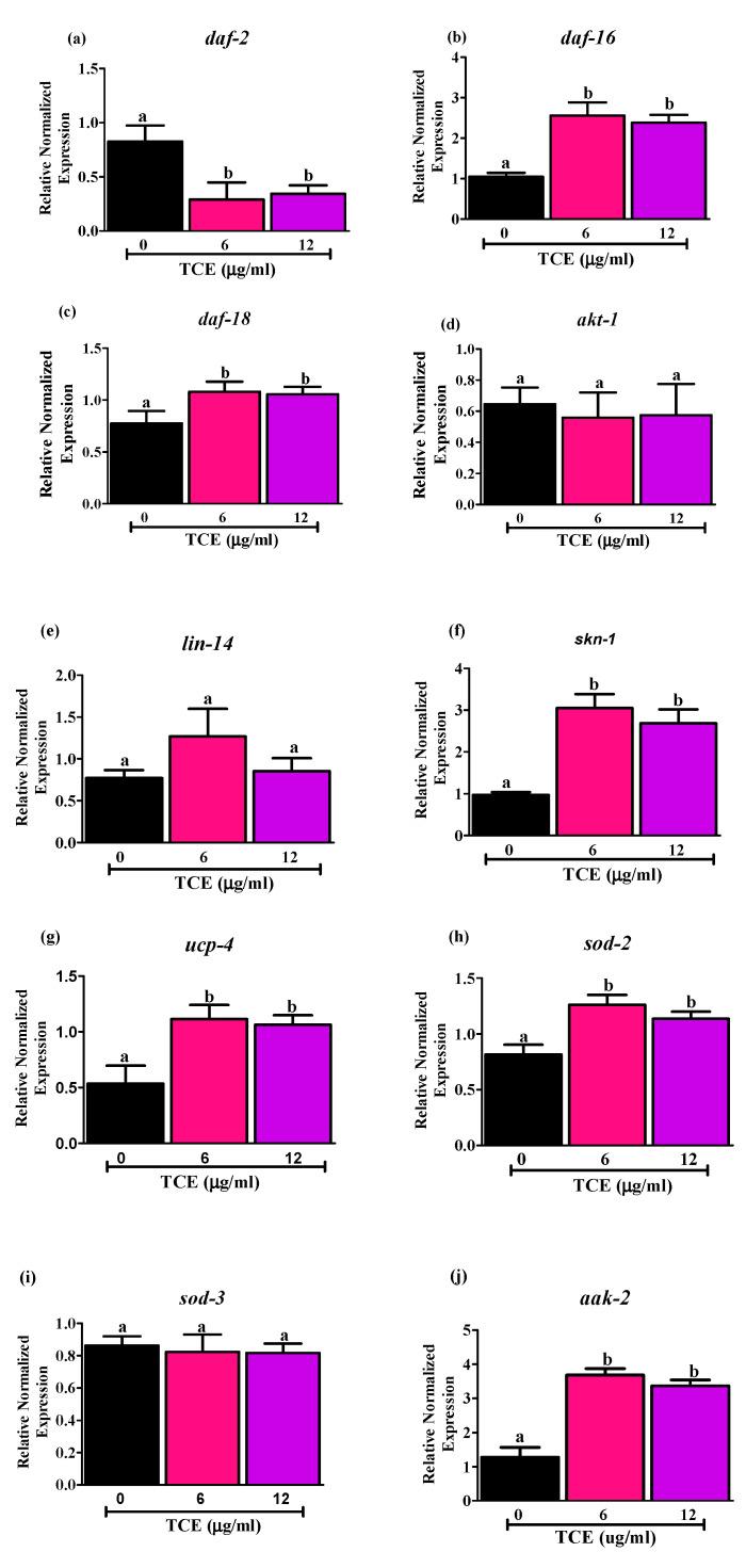 https://cdn.ncbi.nlm.nih.gov/pmc/blobs/b1a1/7285199/33f591c7ca7b/nutrients-12-01482-g002.jpg