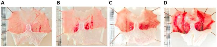 https://cdn.ncbi.nlm.nih.gov/pmc/blobs/b1a2/10533015/9417bc0072a4/marinedrugs-21-00488-g006.jpg