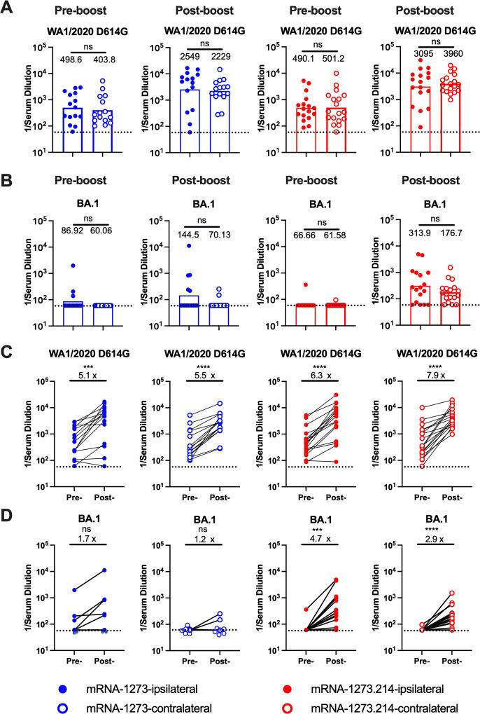 https://cdn.ncbi.nlm.nih.gov/pmc/blobs/b1a2/11406931/329a592a4f76/jvi.00574-24.f002.jpg