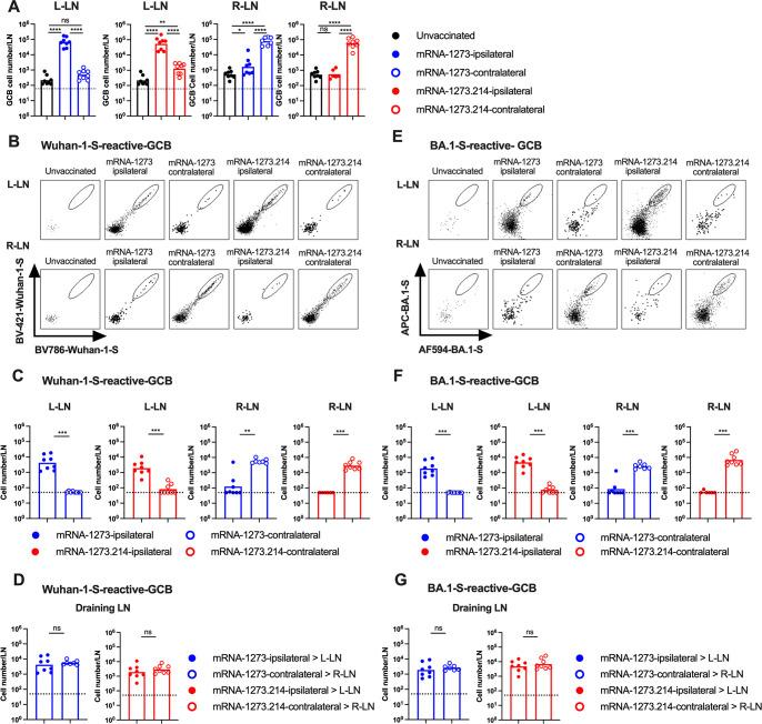 https://cdn.ncbi.nlm.nih.gov/pmc/blobs/b1a2/11406931/36bdc84e5cc4/jvi.00574-24.f003.jpg