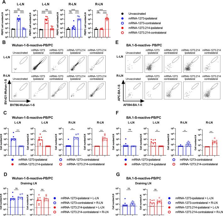 https://cdn.ncbi.nlm.nih.gov/pmc/blobs/b1a2/11406931/3ffef6aeef93/jvi.00574-24.f004.jpg