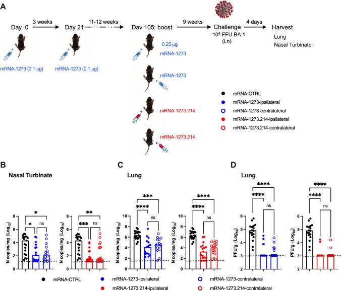https://cdn.ncbi.nlm.nih.gov/pmc/blobs/b1a2/11406931/a3cc8a2754dc/jvi.00574-24.f006.jpg