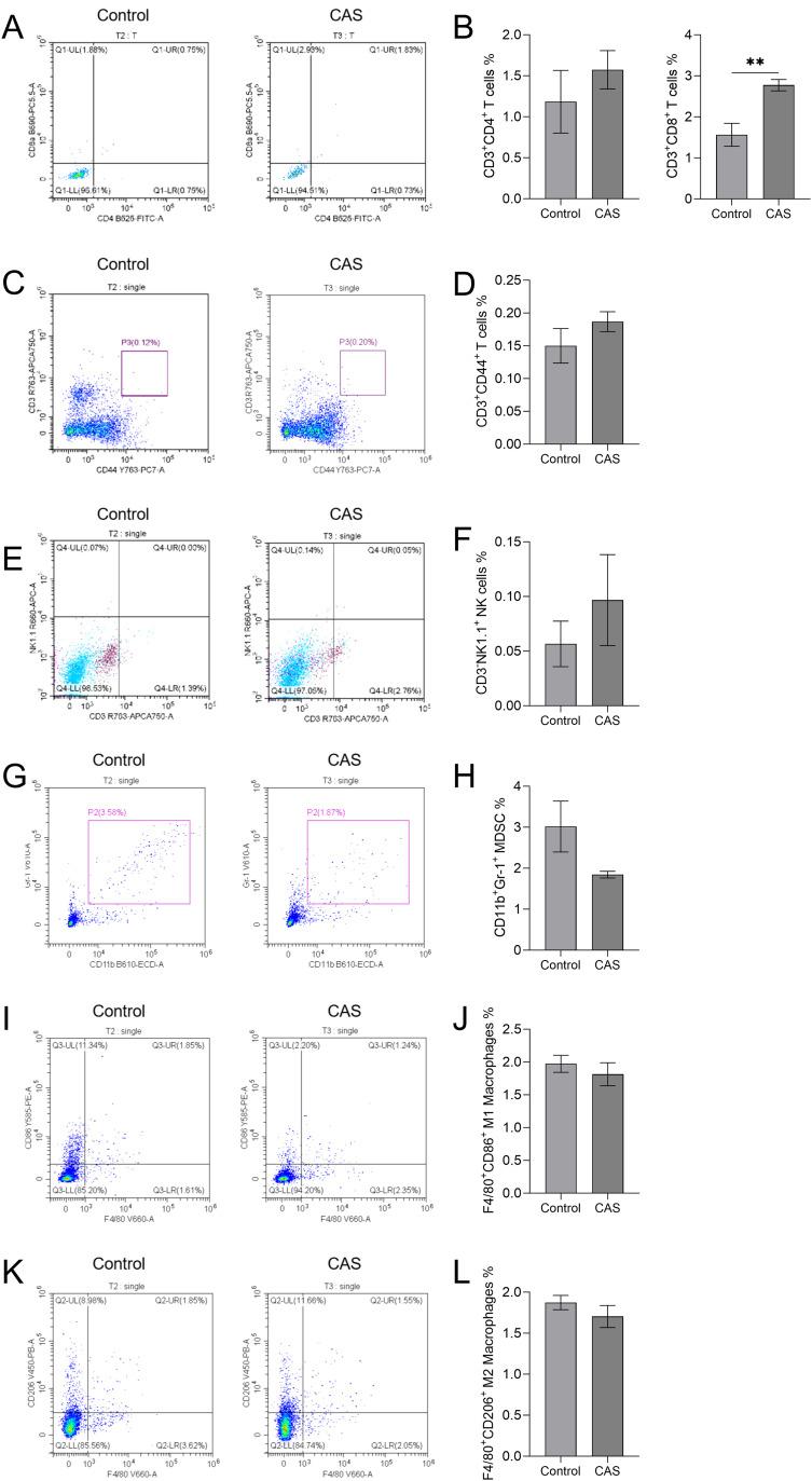 https://cdn.ncbi.nlm.nih.gov/pmc/blobs/b1a3/12078244/7dfcc83a40c9/fimmu-16-1583275-g004.jpg