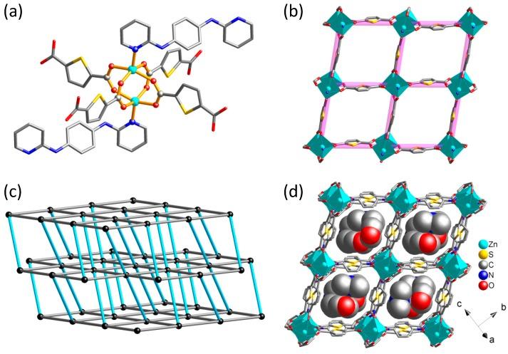 https://cdn.ncbi.nlm.nih.gov/pmc/blobs/b1a3/6401755/d70325ed0e7a/polymers-10-01398-g002.jpg