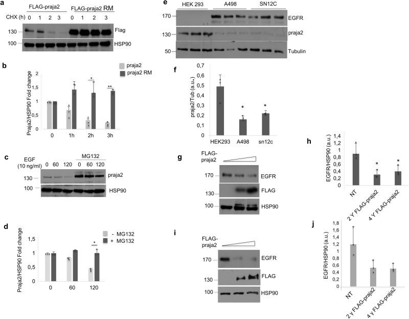 https://cdn.ncbi.nlm.nih.gov/pmc/blobs/b1a4/10879500/67d46884bbe8/42003_2024_5823_Fig3_HTML.jpg