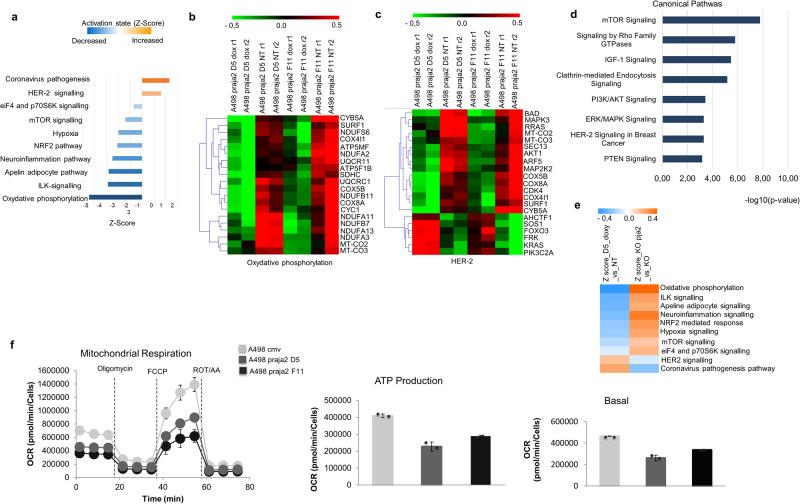 https://cdn.ncbi.nlm.nih.gov/pmc/blobs/b1a4/10879500/7abbe8a0e928/42003_2024_5823_Fig7_HTML.jpg
