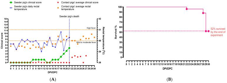 https://cdn.ncbi.nlm.nih.gov/pmc/blobs/b1a5/10974009/870ca4053357/viruses-16-00318-g001.jpg
