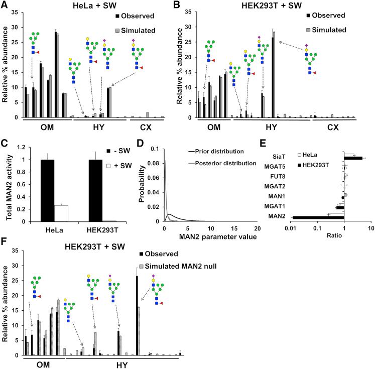 https://cdn.ncbi.nlm.nih.gov/pmc/blobs/b1a5/6486481/3675e69f8de9/gr3.jpg