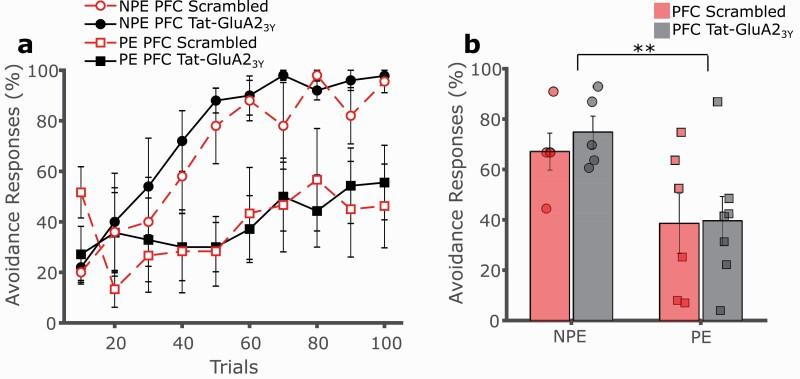 https://cdn.ncbi.nlm.nih.gov/pmc/blobs/b1a5/8299826/980f3fe9c728/pyab011f0005.jpg