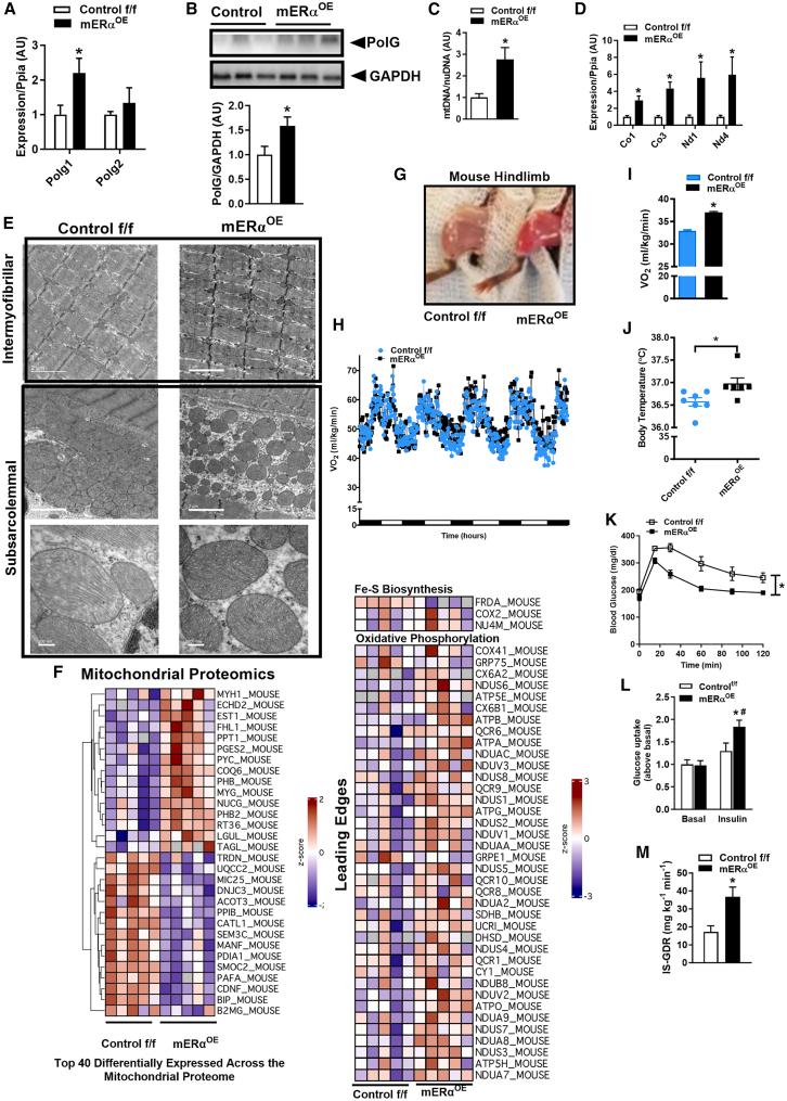 https://cdn.ncbi.nlm.nih.gov/pmc/blobs/b1ab/12147913/826d7bb67a0e/gr5.jpg