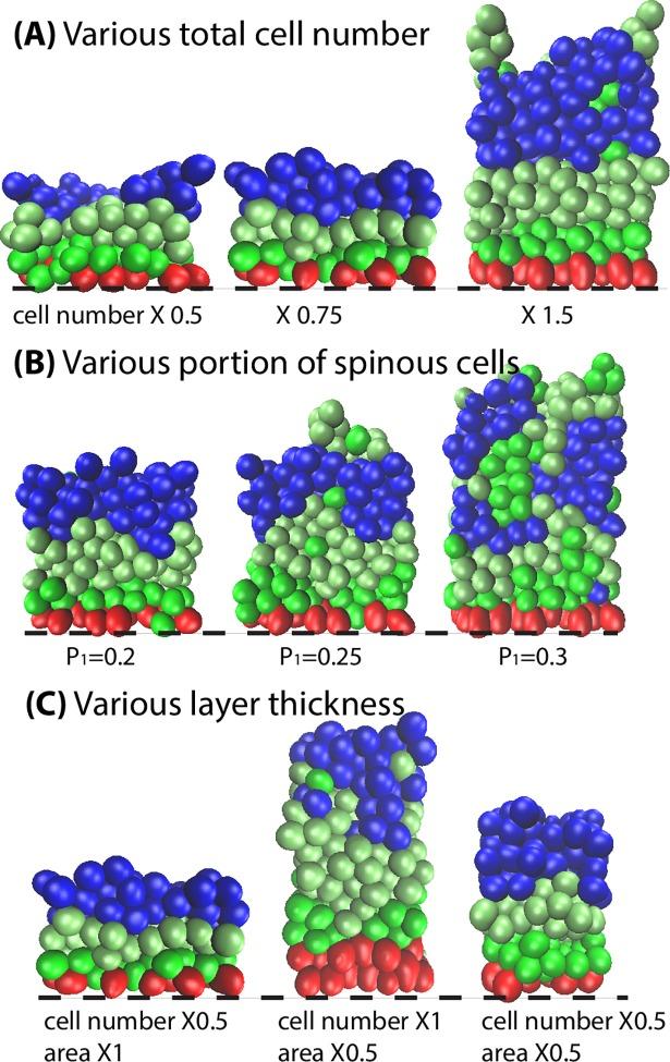 https://cdn.ncbi.nlm.nih.gov/pmc/blobs/b1ab/5843350/adf7df2406a9/pcbi.1006006.g008.jpg