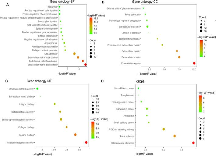 https://cdn.ncbi.nlm.nih.gov/pmc/blobs/b1ac/7810929/3588f2ad266d/JCMM-25-448-g004.jpg