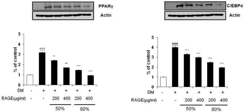https://cdn.ncbi.nlm.nih.gov/pmc/blobs/b1ad/3439571/e372f498467a/nrp-6-286-g005.jpg