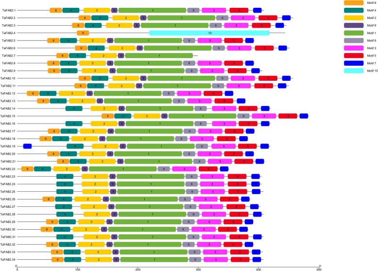 https://cdn.ncbi.nlm.nih.gov/pmc/blobs/b1ae/7653692/0b7c9787e1ab/12864_2020_7199_Fig5_HTML.jpg