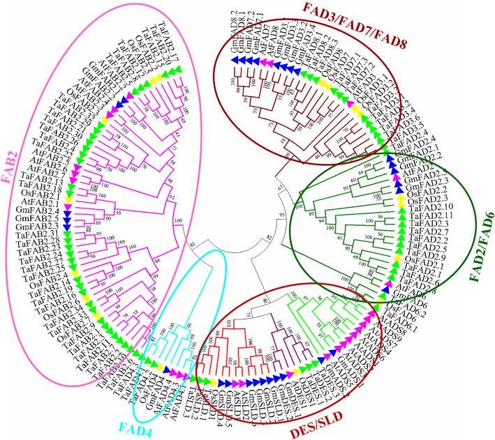 https://cdn.ncbi.nlm.nih.gov/pmc/blobs/b1ae/7653692/831a288be9e2/12864_2020_7199_Fig2_HTML.jpg