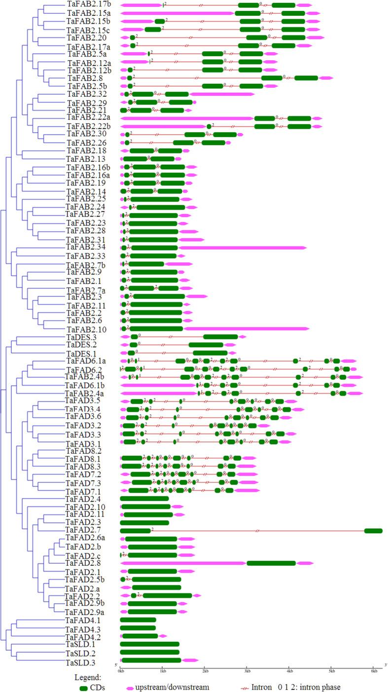https://cdn.ncbi.nlm.nih.gov/pmc/blobs/b1ae/7653692/914cf73a661a/12864_2020_7199_Fig4_HTML.jpg
