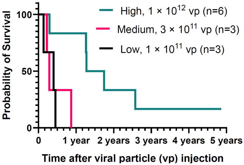 https://cdn.ncbi.nlm.nih.gov/pmc/blobs/b1af/11118039/6db3addb2c3e/biomedicines-12-01065-g001.jpg
