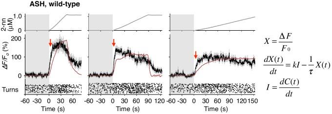 https://cdn.ncbi.nlm.nih.gov/pmc/blobs/b1b0/5441874/988ed18e00f0/elife-21629-fig4-figsupp3.jpg