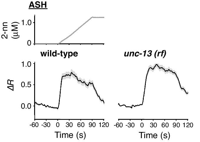 https://cdn.ncbi.nlm.nih.gov/pmc/blobs/b1b0/5441874/f47cdba4df31/elife-21629-fig7-figsupp1.jpg