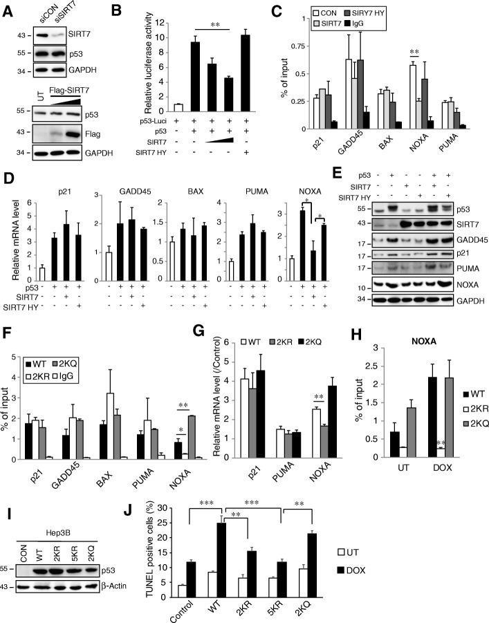 https://cdn.ncbi.nlm.nih.gov/pmc/blobs/b1b8/6567523/4f40d30c3f6c/13046_2019_1246_Fig5_HTML.jpg