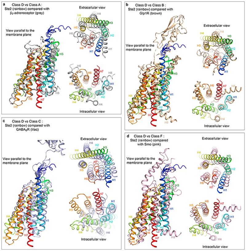 https://cdn.ncbi.nlm.nih.gov/pmc/blobs/b1b8/7116888/19fb552b7702/EMS114597-f010.jpg