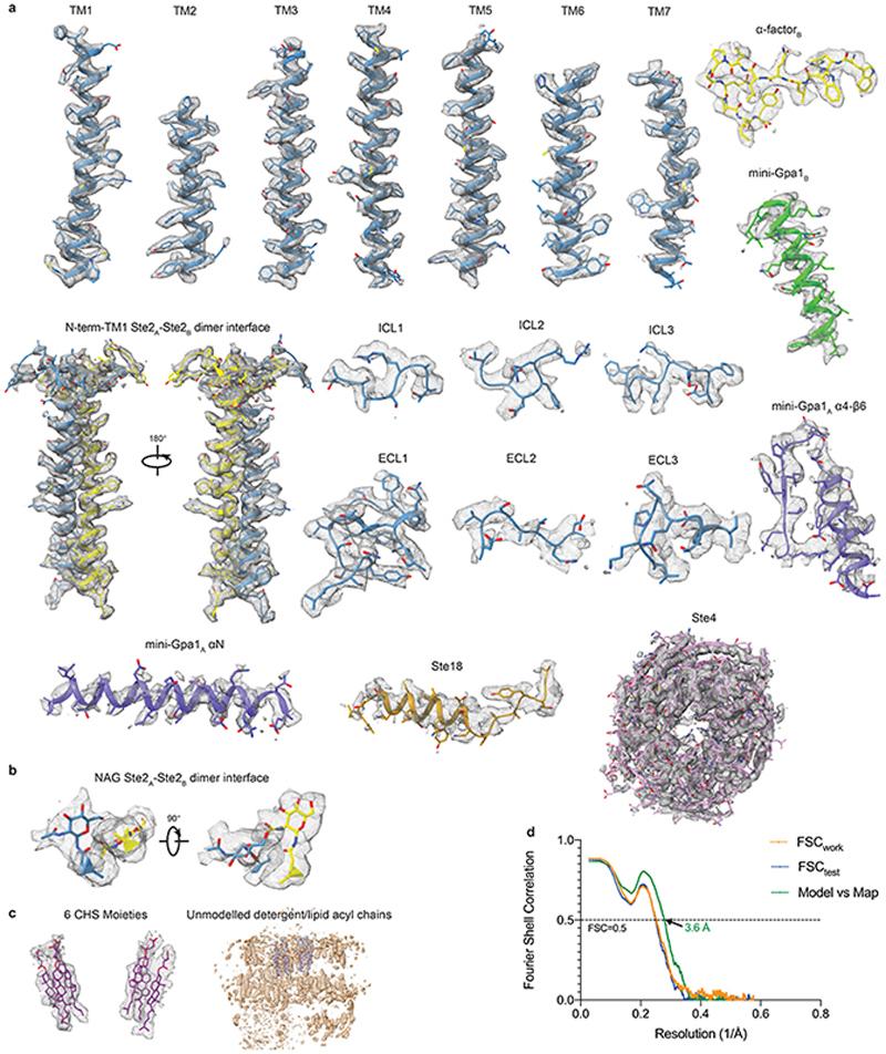 https://cdn.ncbi.nlm.nih.gov/pmc/blobs/b1b8/7116888/3733bb0b4b84/EMS114597-f009.jpg
