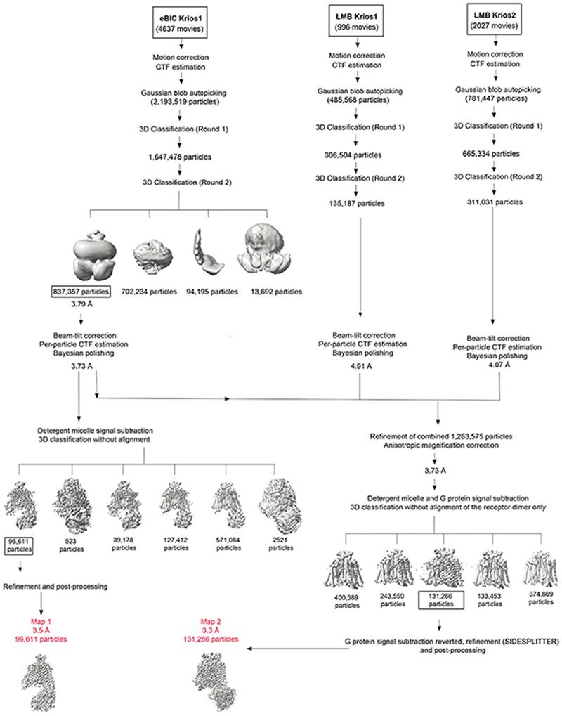 https://cdn.ncbi.nlm.nih.gov/pmc/blobs/b1b8/7116888/48401a190724/EMS114597-f008.jpg