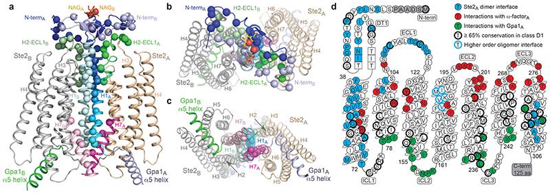 https://cdn.ncbi.nlm.nih.gov/pmc/blobs/b1b8/7116888/bae85d025b16/EMS114597-f002.jpg