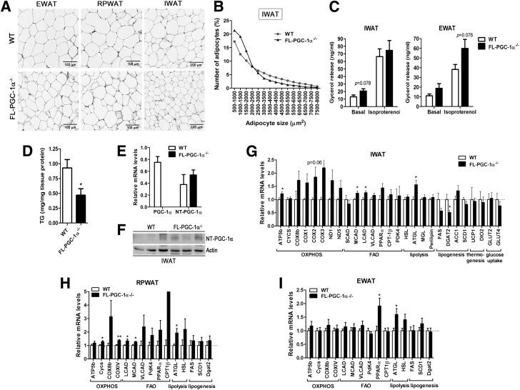 https://cdn.ncbi.nlm.nih.gov/pmc/blobs/b1b9/4207386/56974e384750/3615fig5.jpg