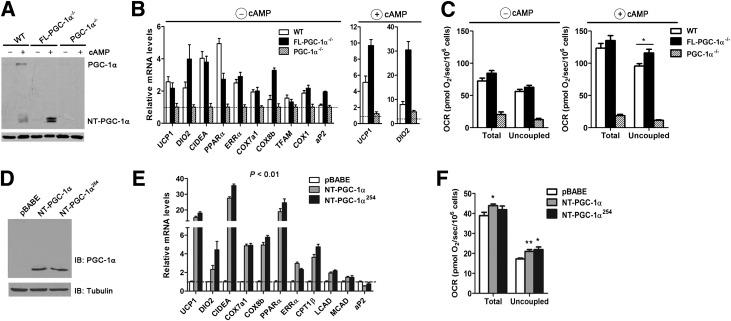 https://cdn.ncbi.nlm.nih.gov/pmc/blobs/b1b9/4207386/7e0ae99211b3/3615fig4.jpg