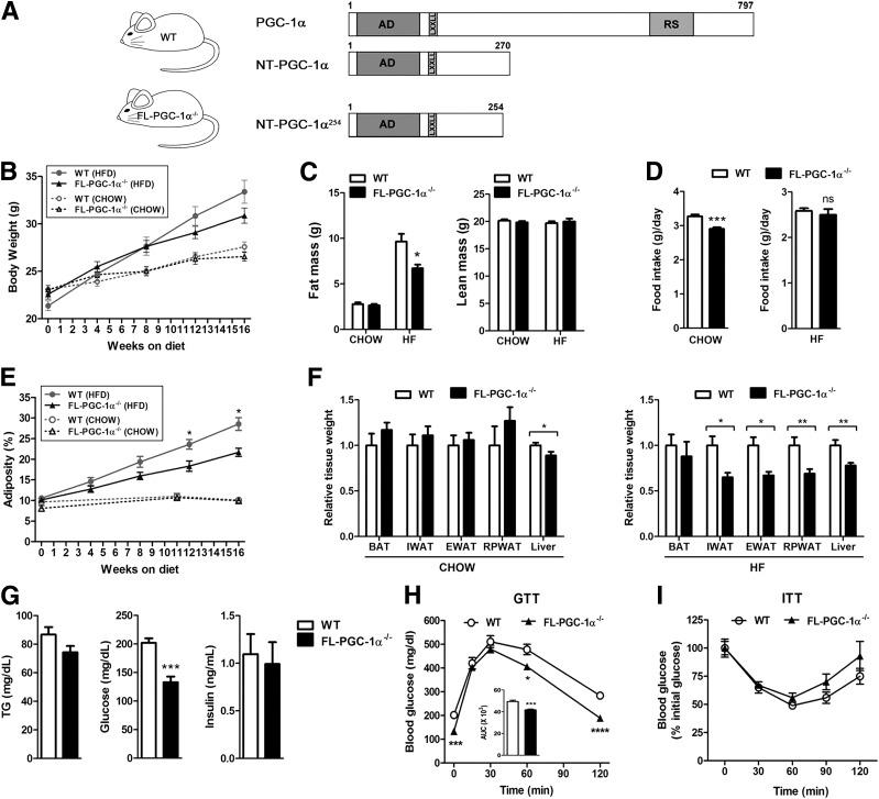 https://cdn.ncbi.nlm.nih.gov/pmc/blobs/b1b9/4207386/a4cdb9efaf74/3615fig1.jpg