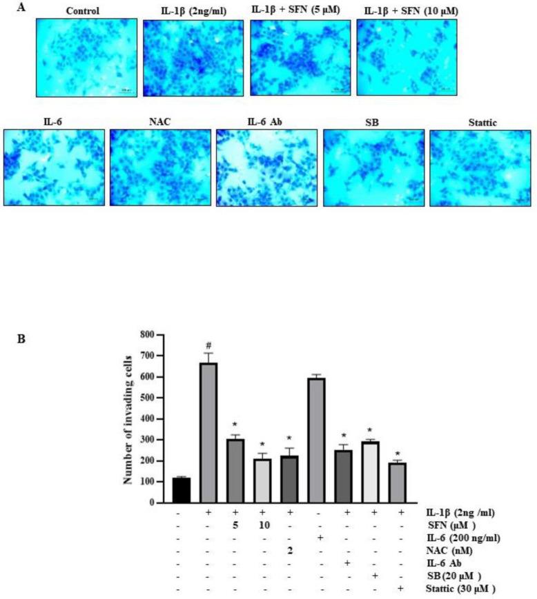 https://cdn.ncbi.nlm.nih.gov/pmc/blobs/b1bb/11047376/f01cf81a181e/antioxidants-13-00406-g008.jpg