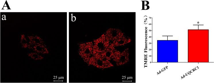 https://cdn.ncbi.nlm.nih.gov/pmc/blobs/b1bb/5531499/634176d5b398/pone.0181903.g006.jpg
