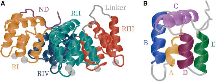 https://cdn.ncbi.nlm.nih.gov/pmc/blobs/b1bc/11365106/36018698710d/gr1.jpg