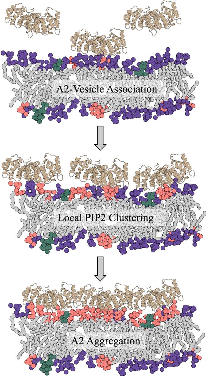 https://cdn.ncbi.nlm.nih.gov/pmc/blobs/b1bc/11365106/68f6352e4ffa/gr6.jpg
