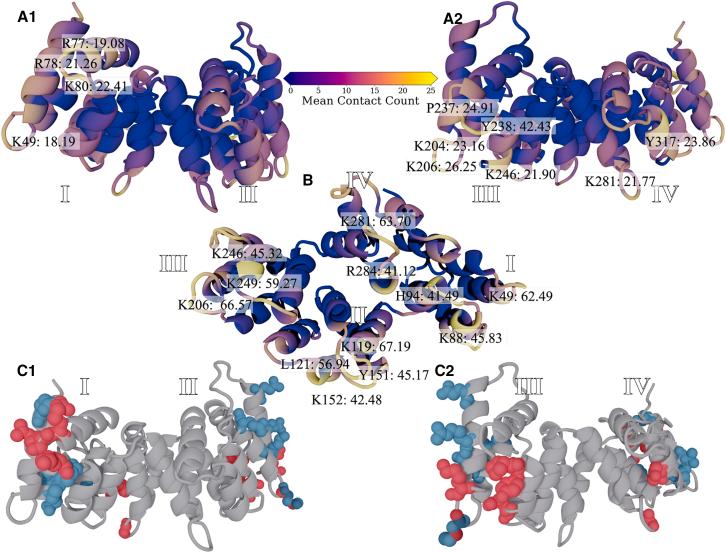 https://cdn.ncbi.nlm.nih.gov/pmc/blobs/b1bc/11365106/718e8941d0e3/gr4.jpg