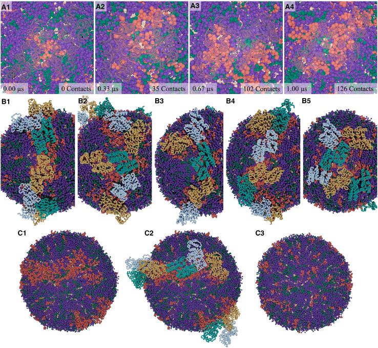 https://cdn.ncbi.nlm.nih.gov/pmc/blobs/b1bc/11365106/a7a5fcd487d1/gr3.jpg