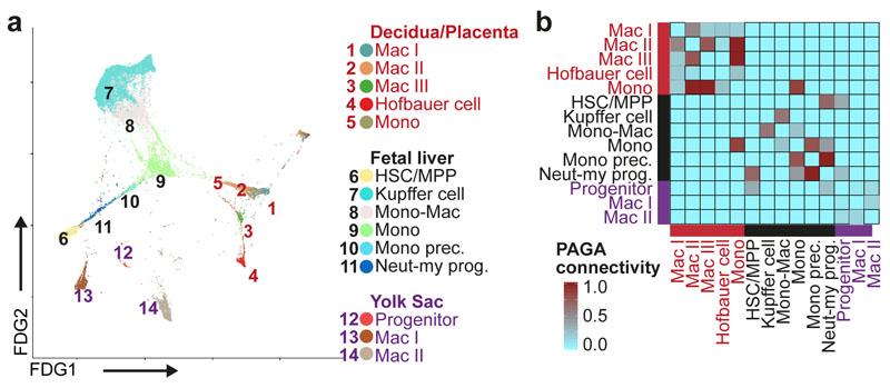 https://cdn.ncbi.nlm.nih.gov/pmc/blobs/b1bd/6861135/330bcb7e3da4/EMS84343-f005.jpg